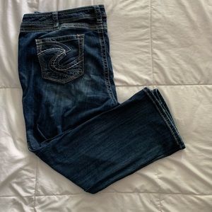 Sliver Jean capris- plus size